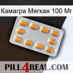 Камагра Мягкая 100 Мг cialis3